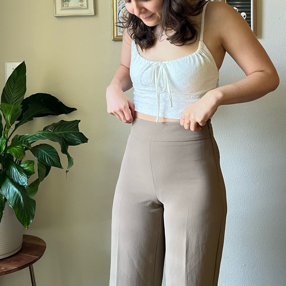 Gorgeous Brand New with tags taupe La Paz trousers from Aritzia!